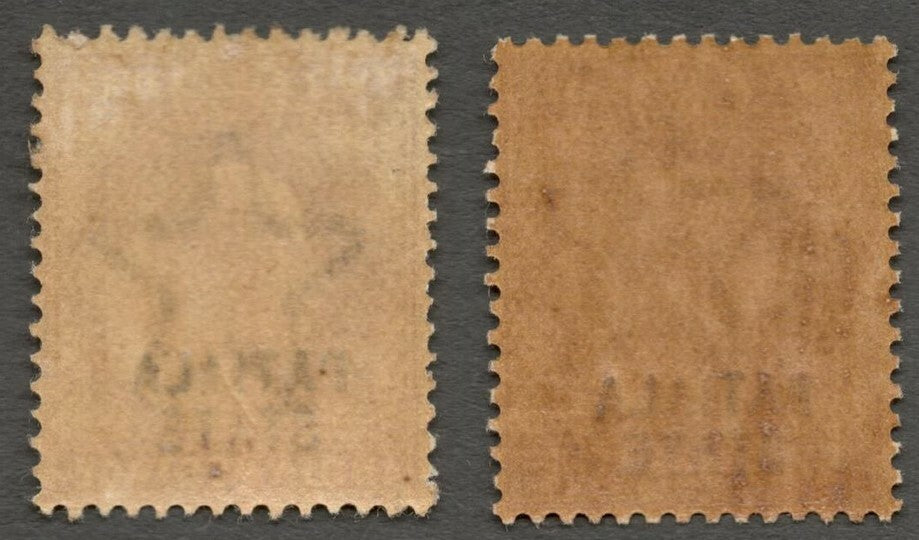 AOP India Patiala State KEdVII 1903-06 2a both listed shades MNH SG 39/39a (2)