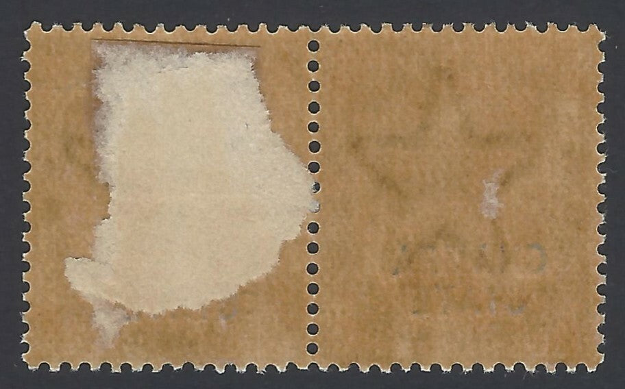 India Chamba State QV Queen Victoria 1/2a pair, one with small "A"