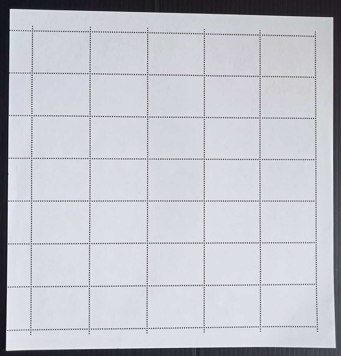 India 2010 Birth Centenary Sant Sadaram Sahib sheet of 35 MNH