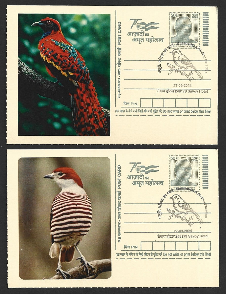 India 2024 Birding Paradise Savoy Hotel postmark cards MULTICOLORED BIRDS (8)