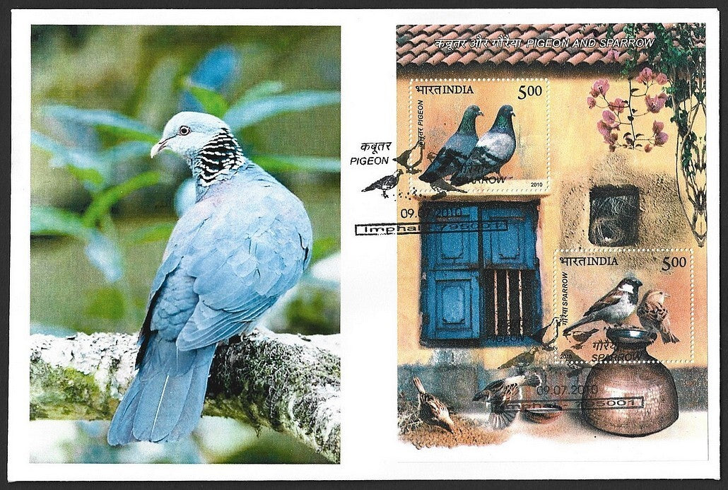 India 2010 Birds Pigeon & Sparrow MS on FDC First Day cover