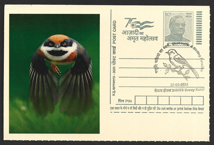 India 2024 Birding Paradise Savoy Hotel postmarks on cards STRIPED BIRD (9)