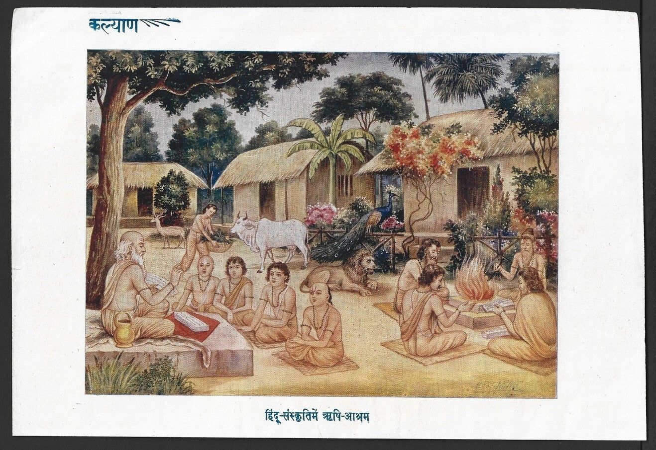 India vintage Hindu God poster HINDU CULTURE RISHI- ASHRAM 17x24cm