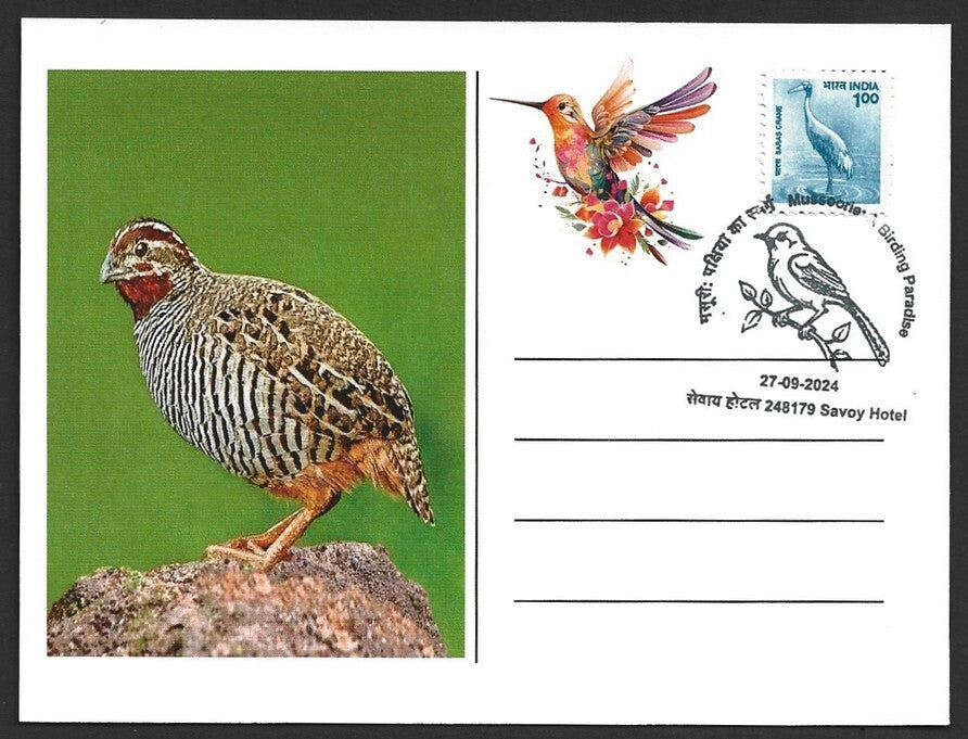 India 2024 BIRDS - QUAIL maximum card (not first day)