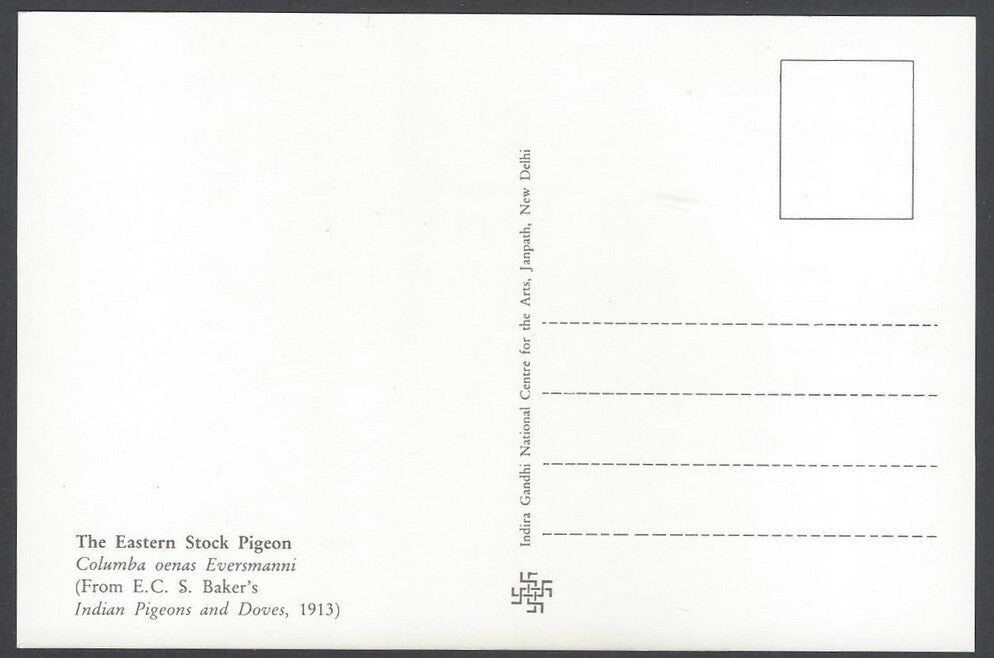 India 2008 Pigeon. The Eastera Stock Pigeon Maxi card
