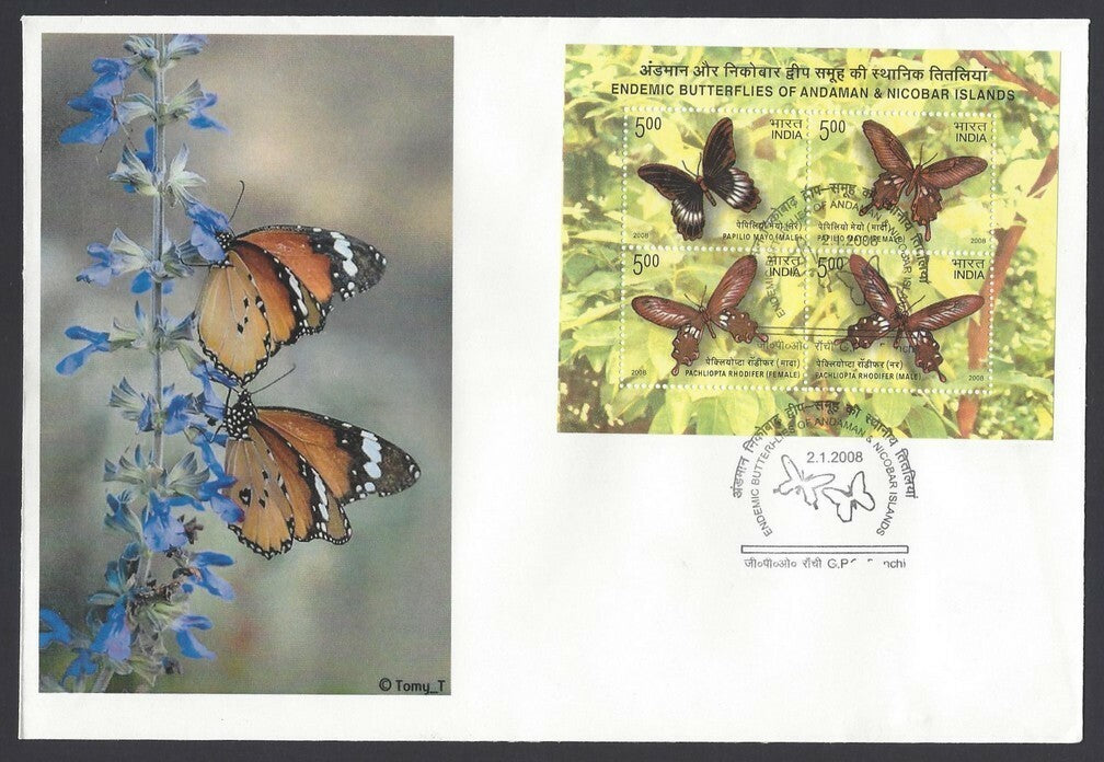 India 2010 Butterflies minisheet FDC