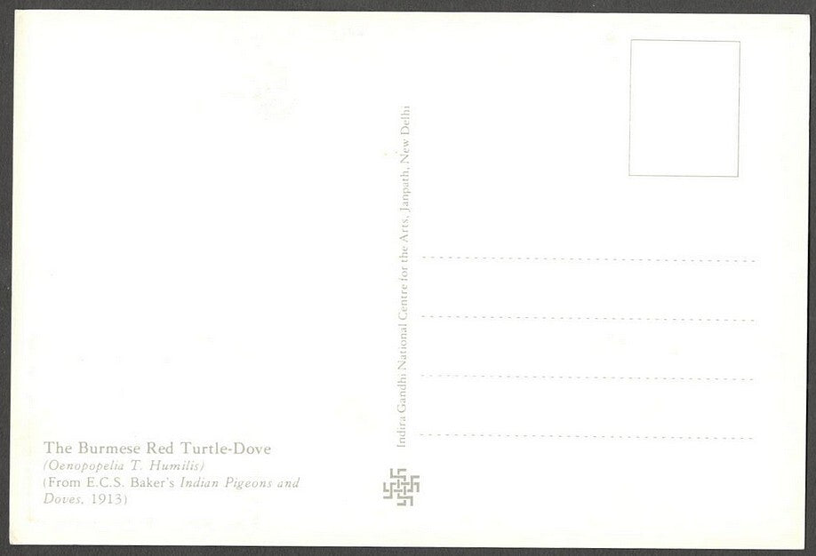 AOP India 2010 Pigeon maxi card
