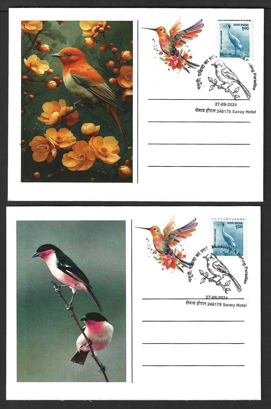 India 2024 BIRDS maximum cards (not first day) (8)
