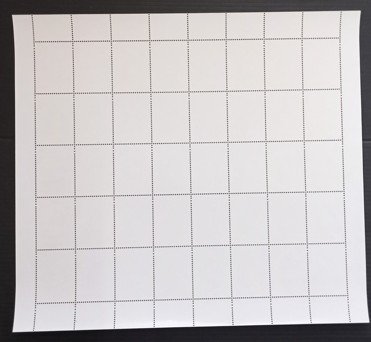 India 2009 Maharaja Surajmal sheet of 40 MNH
