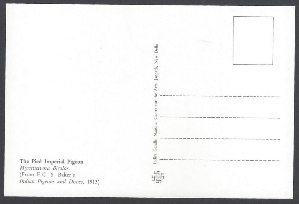 India 2008 Pigeon The Pied Imperial Pigeon Maxi card
