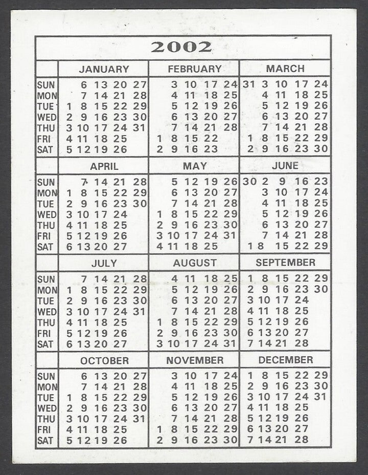 AOP Bollywood India promotional pocket calendar 2002 RAVEENA TANDON