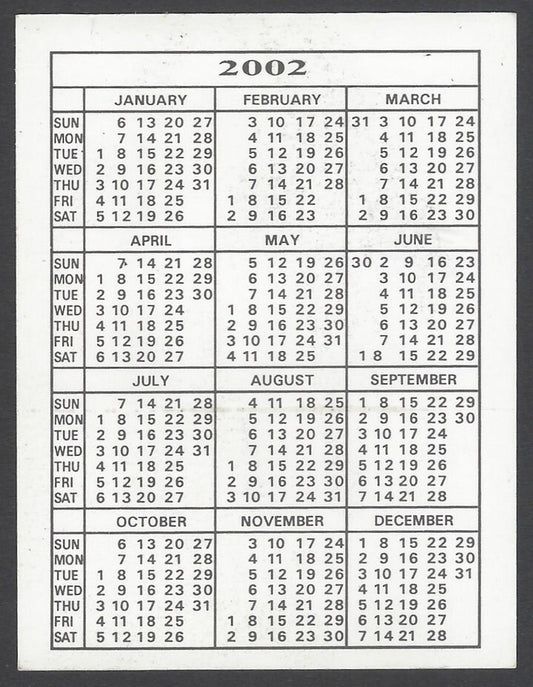 AOP Bollywood India promotional pocket calendar 2002 RAVEENA TANDON