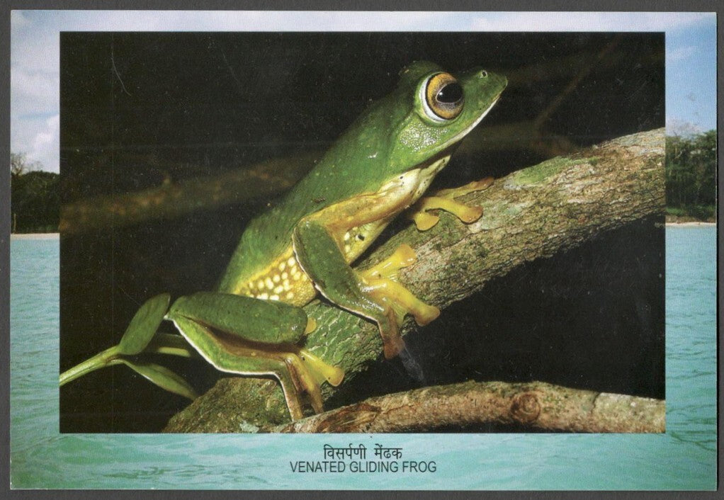 AOP India 2012 Biodiversity MS First Day card