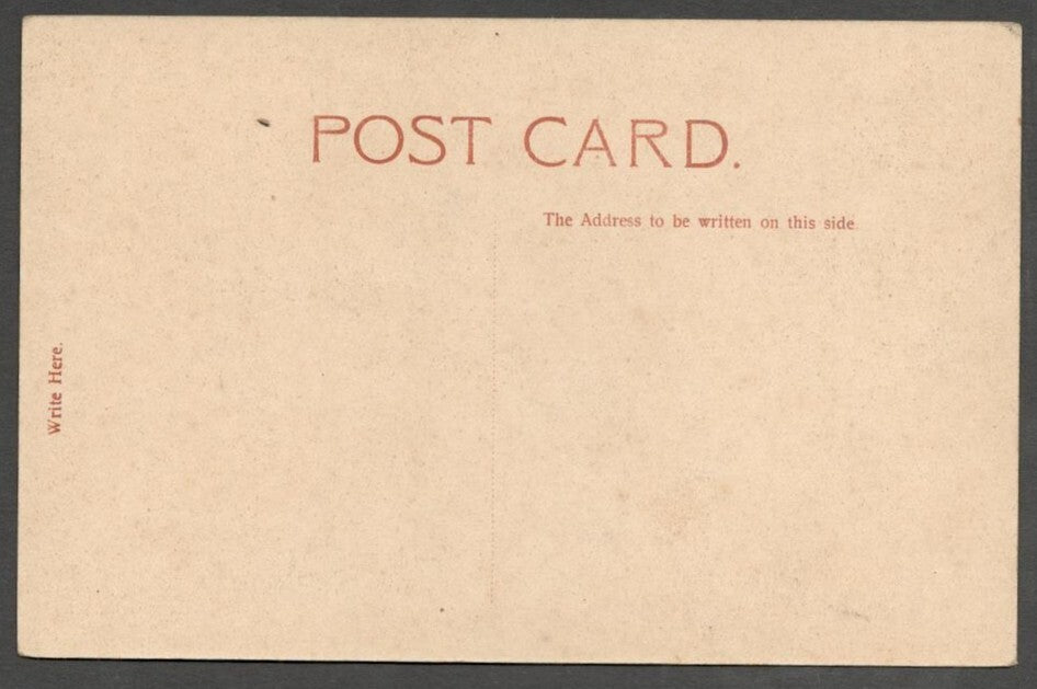AOP India Mayo Gate & Iron Pillar, Delhi vintage postcard