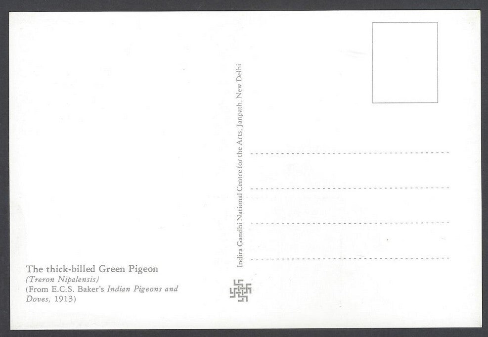 India 2008 Pigeon. The Thick - Billed Green Pigeon Maxi card