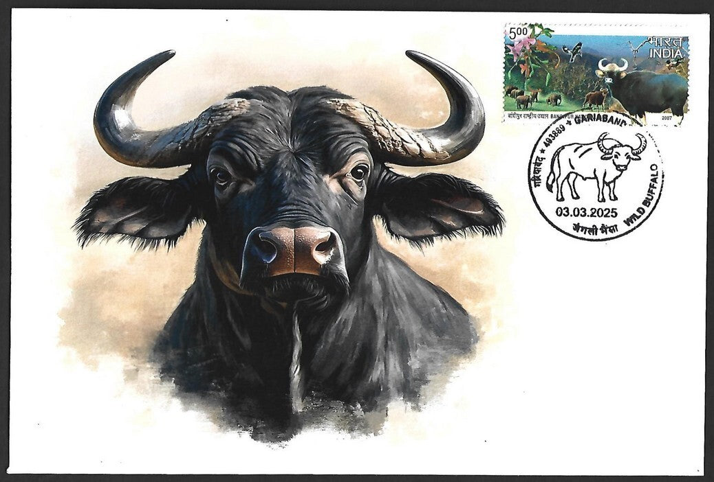 India 2025 WILD BUFFALO, GARIABAND Special covers (5)