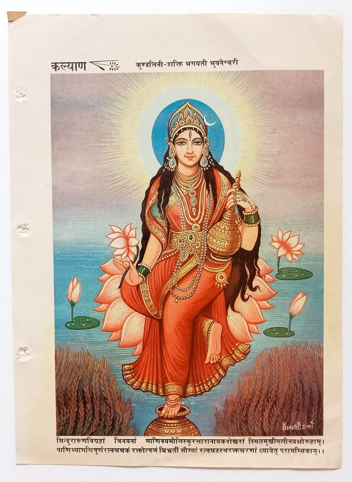 AOP India Hindu God Bhagwati Bhuvaneshwari 7x9.5" 1987 poster