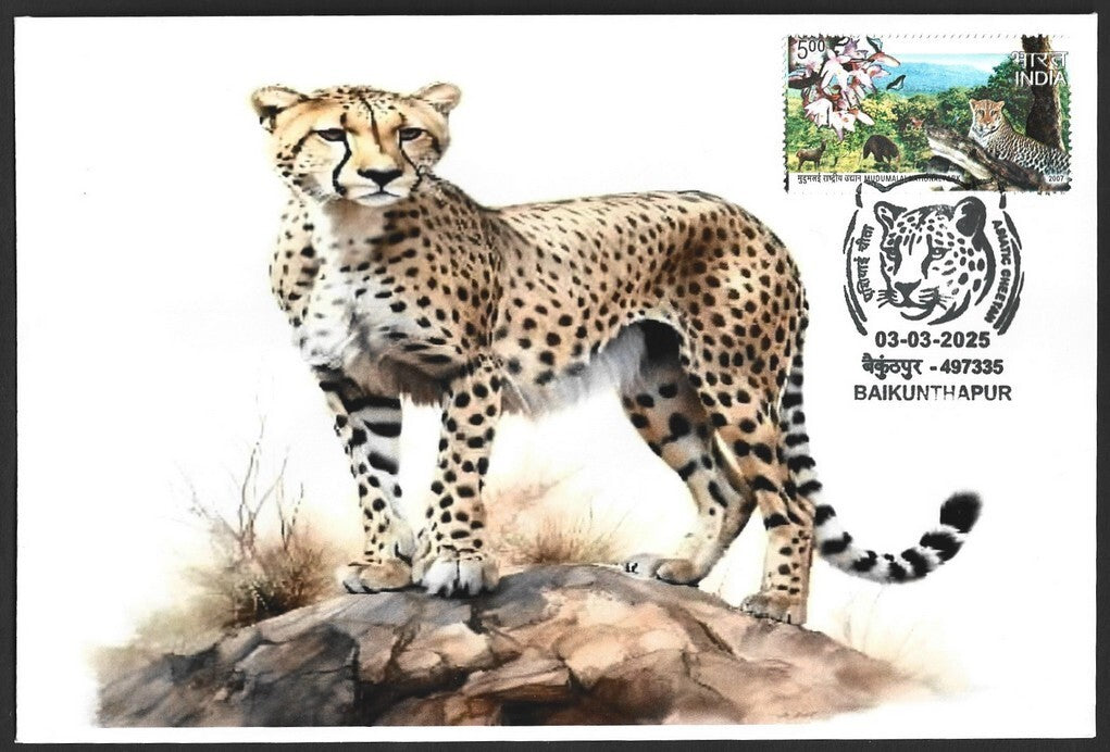 India ASIATIC CHEETAH, Baikunhapur postmark on special cover