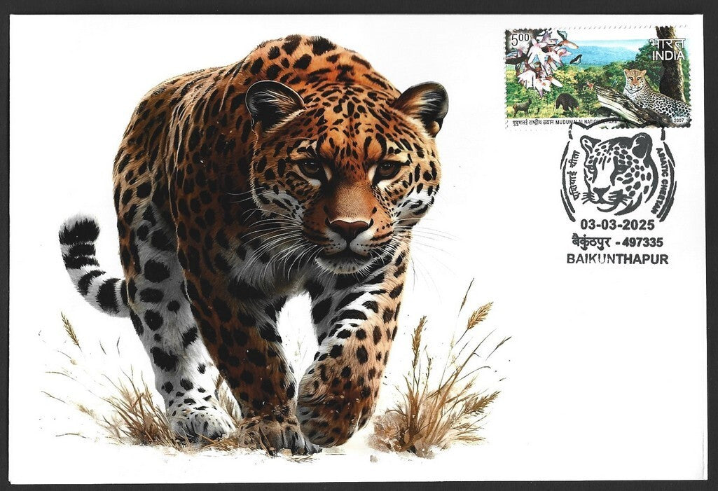 India ASIATIC CHEETAH, Baikunhapur postmark on special covers (3)
