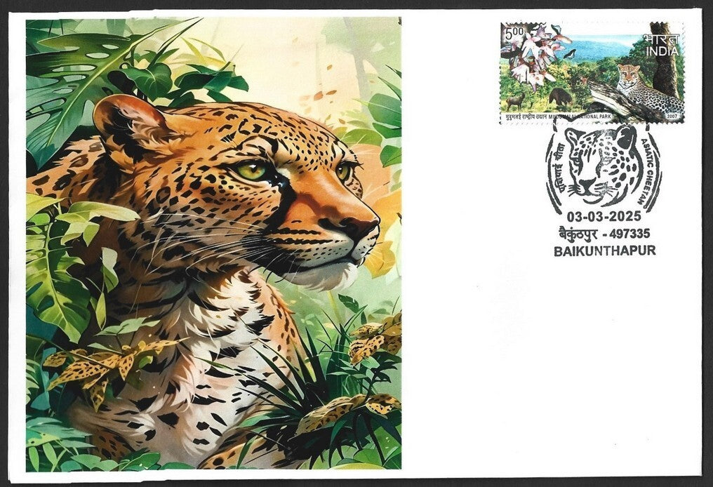 India ASIATIC CHEETAH, Baikunhapur postmark on special covers (3)