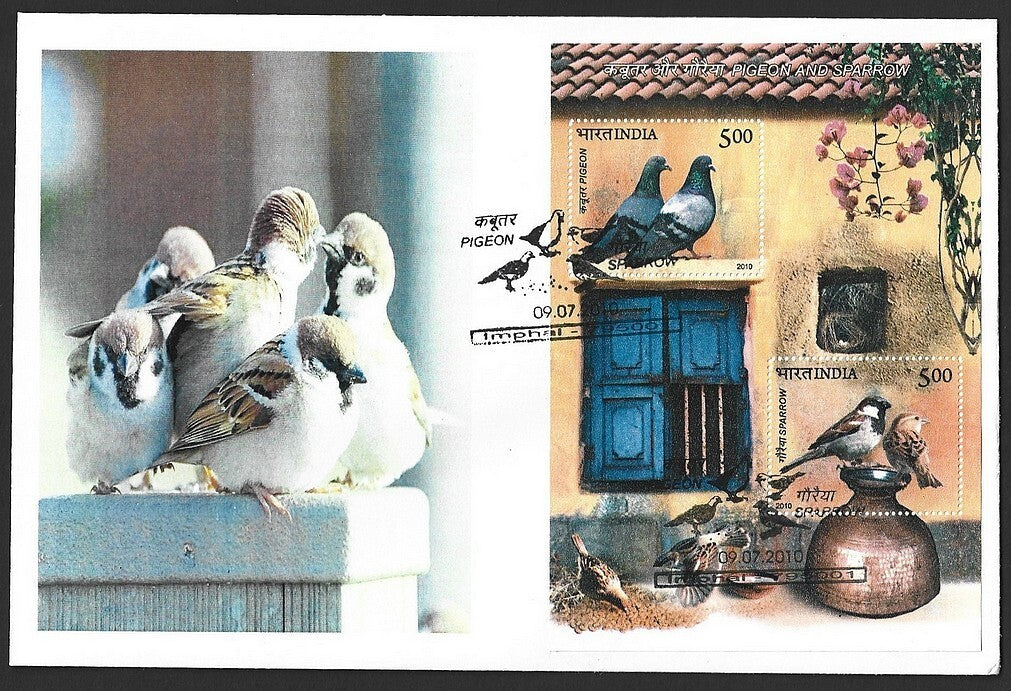 India 2010 Birds Pigeon & Sparrow MS on FDC First Day cover