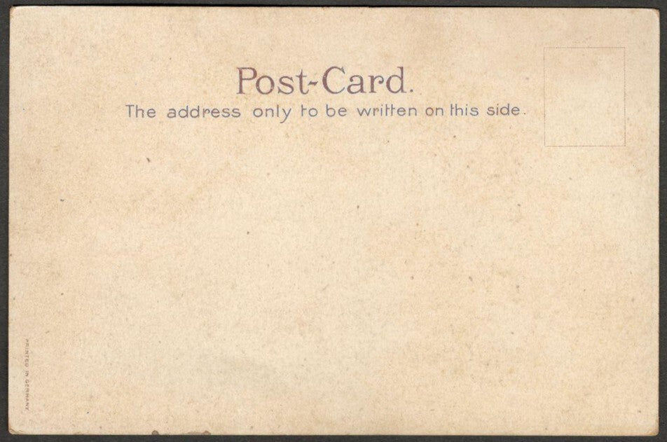 AOP India GENERAL VIEW, BHURT PORE vintage colour litho postcard unused