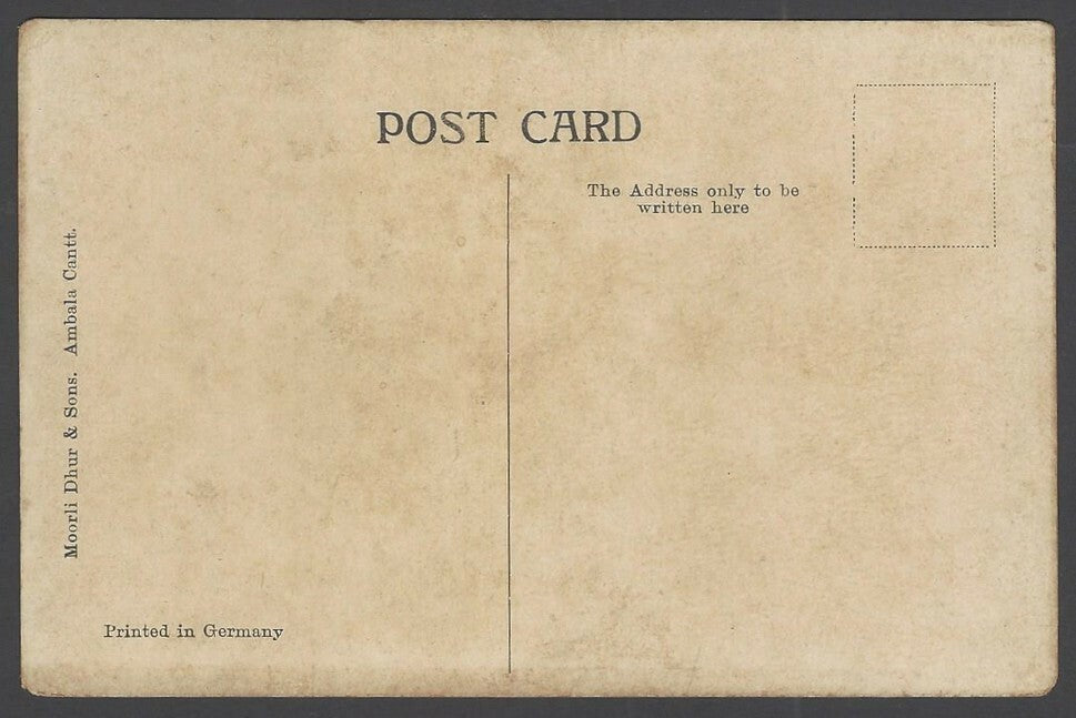 India vintage colour postcard A LADY IN A DANDY