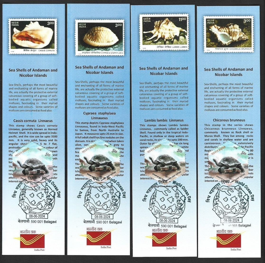 India 2024 World Ocean Day Sea Shell bookmarks (4)