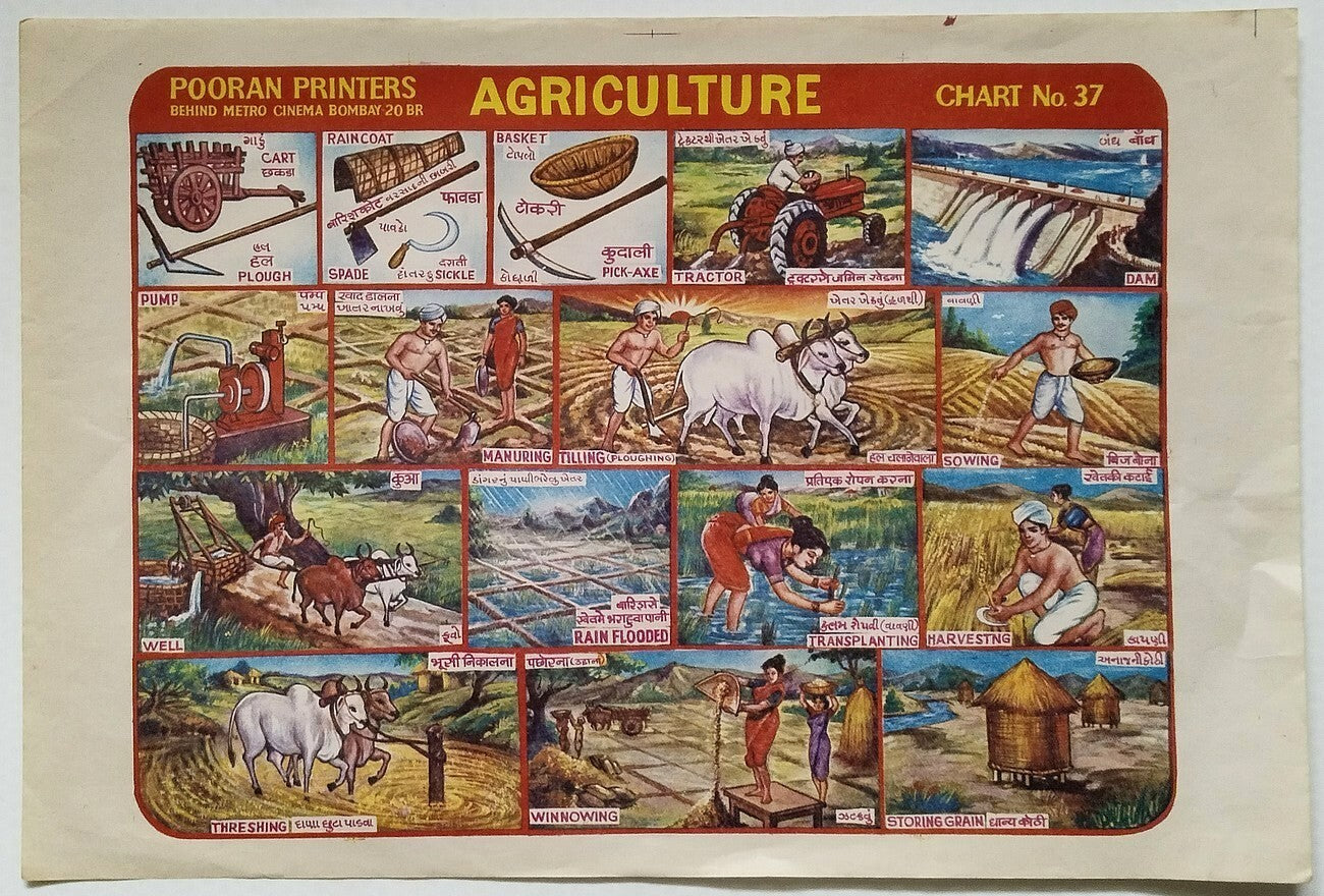 AOP India vintage Pooran Printers English Period Chart AGRICULTURE 15" x 10"