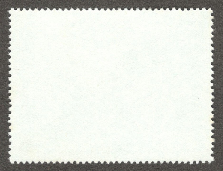 India #872 1984 'Salyut 7' Space Flight MNH