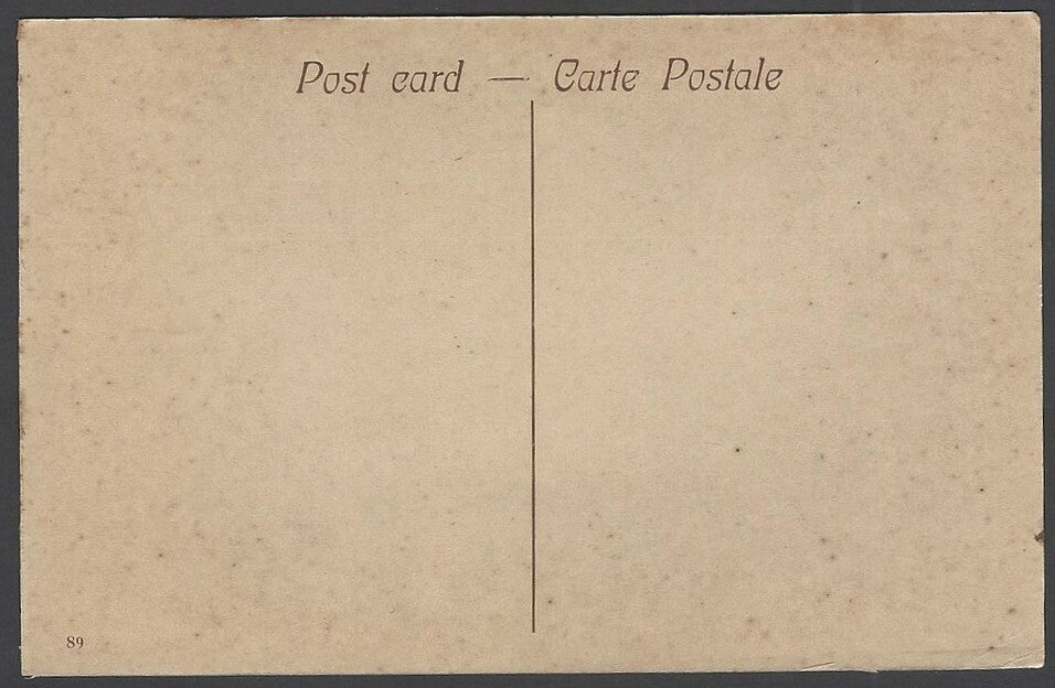 India Jul Mandir or Water Palace, Oodeypore vintage postcard