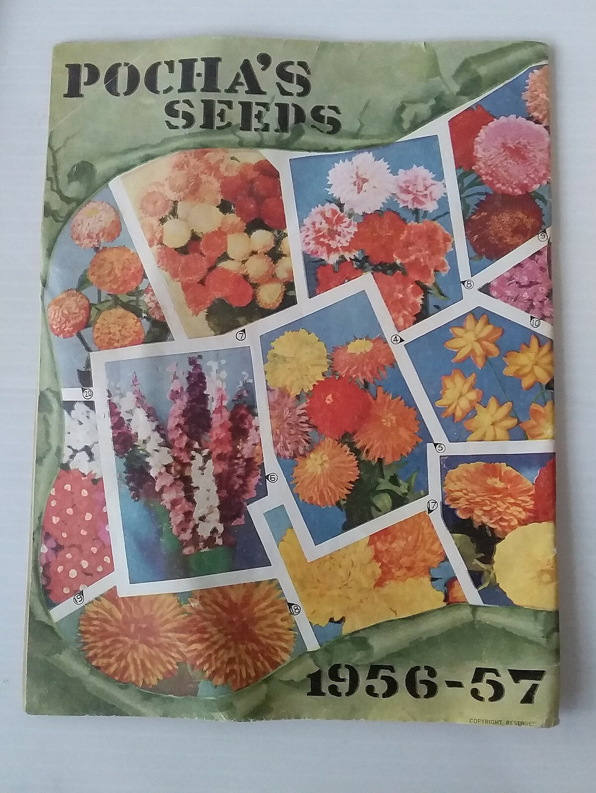 India 1950s illustrated price lists - Seed Glowers & Merchants (3)