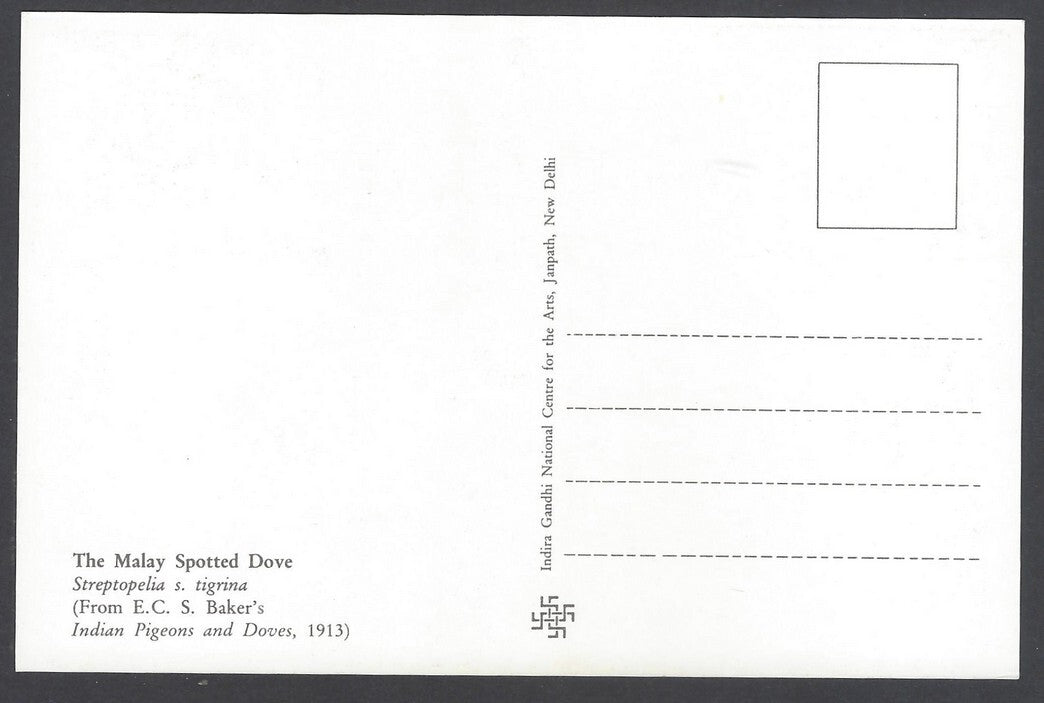 India 2008 Pigeon. The Malay Spotted Dove Maxi card