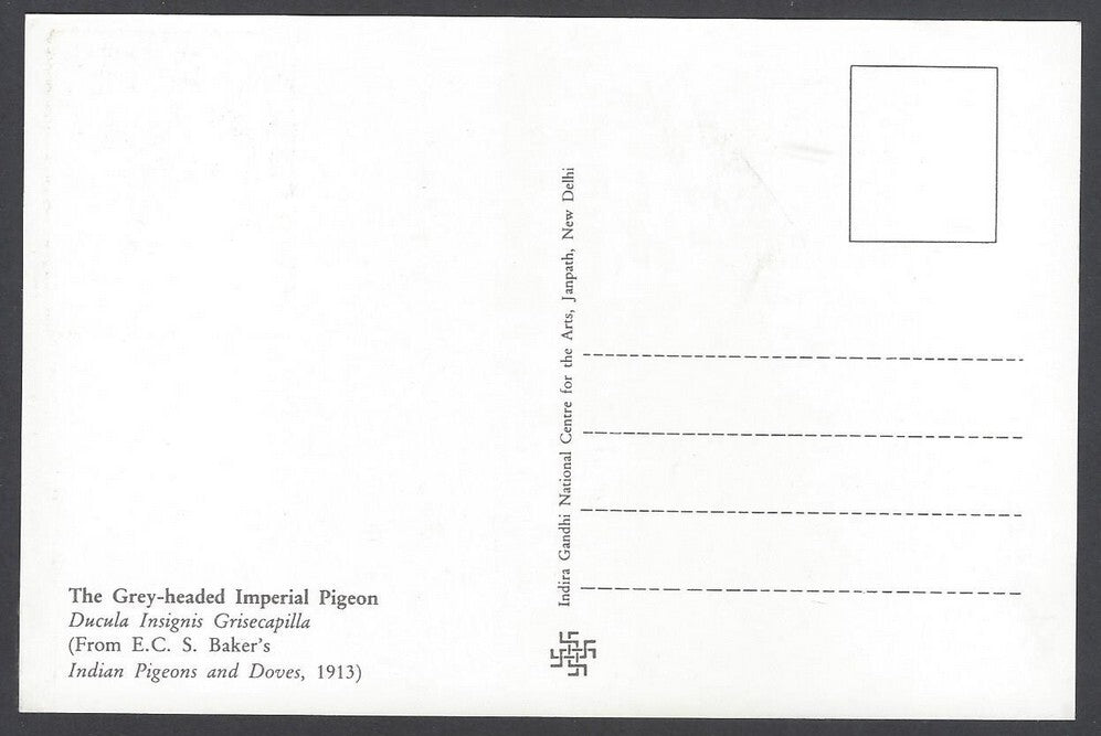 India 2008 Pigeon. The Grey - Headed Imperial Pigeon Maxi card