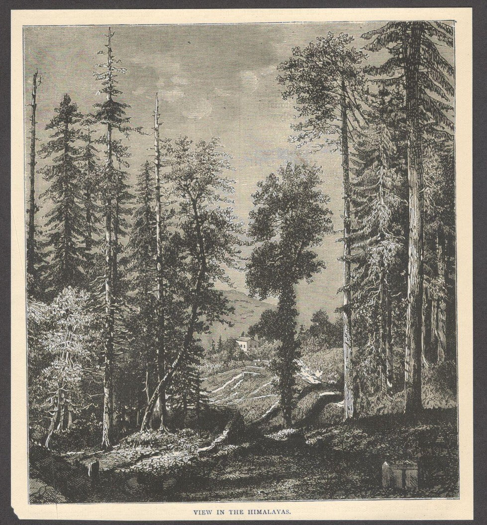 India VIEW IN THE HIMALAYAS engraved print ex libris Rousslet 1876 7"x6"