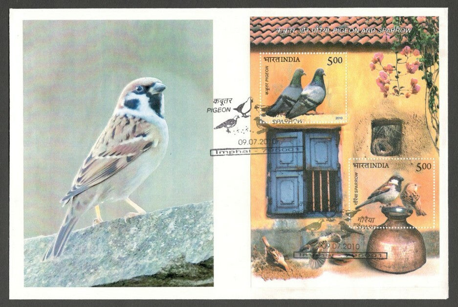 AOP India 2010 Birds Pigeon & Sparrow MS on FDC First Day cover