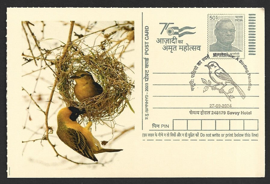 India 2024 Birding Paradise Savoy Hotel postmarks on cards NESTING BIRDS (7)