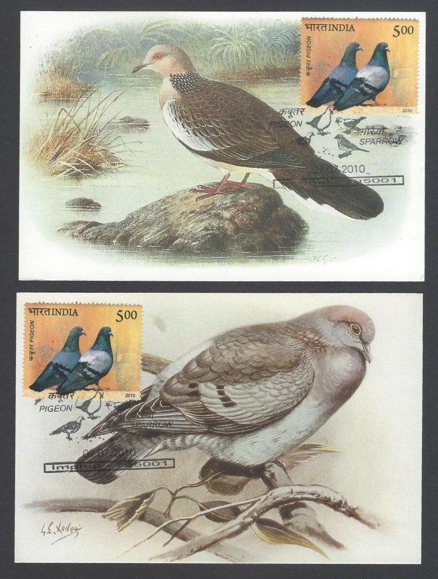 AOP India 2010 Pigeon maxi card set of 24
