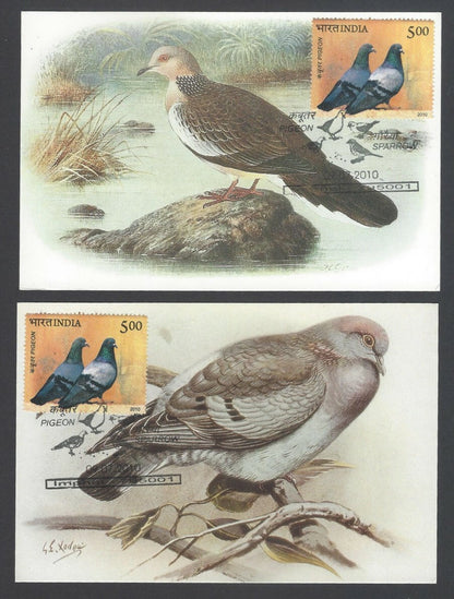 AOP India 2010 Pigeon maxi card set of 24