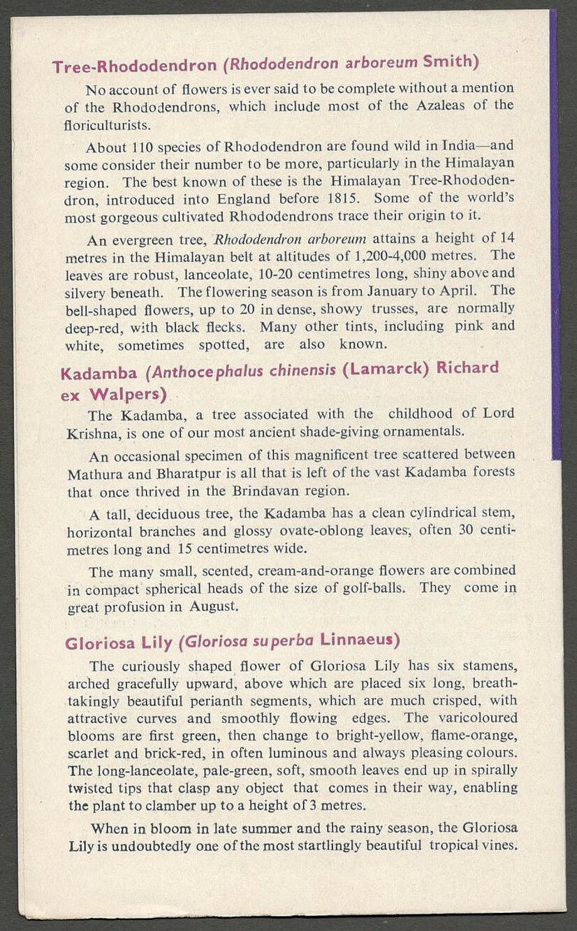 AOP India brochure 1977 Indian Flowers