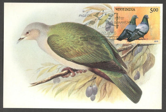 AOP India 2010 Pigeon maxi card