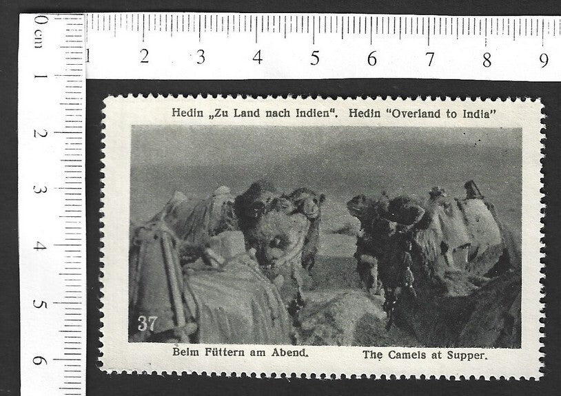 Vintage OVERLAND TO INDIA poster stamp - THE CAMELS AT SUPPER zaz