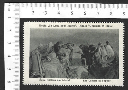 Vintage OVERLAND TO INDIA poster stamp - THE CAMELS AT SUPPER zaz
