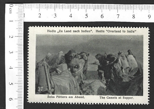 Vintage OVERLAND TO INDIA poster stamp - THE CAMELS AT SUPPER zaz
