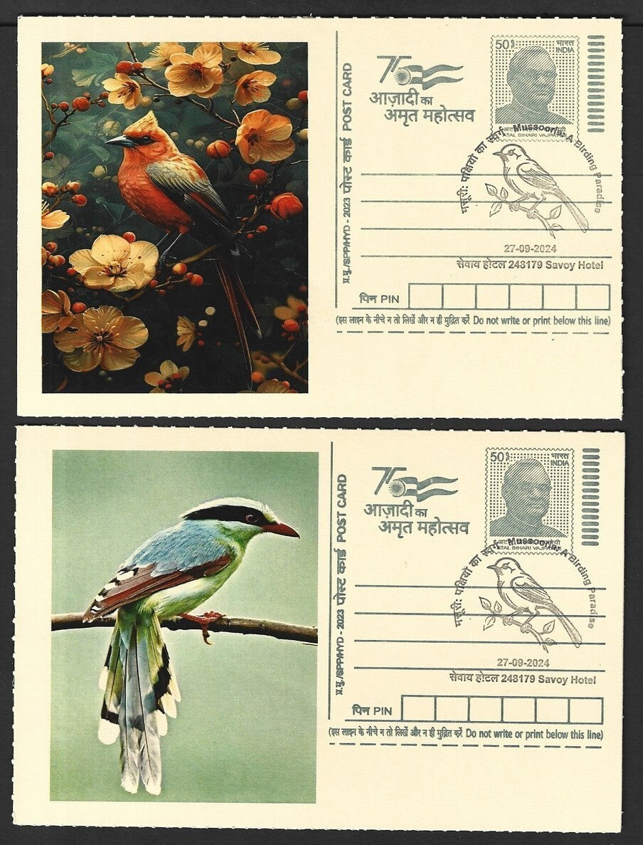 India 2024 Birding Paradise Savoy Hotel postmark cards MULTICOLORED BIRDS (6)