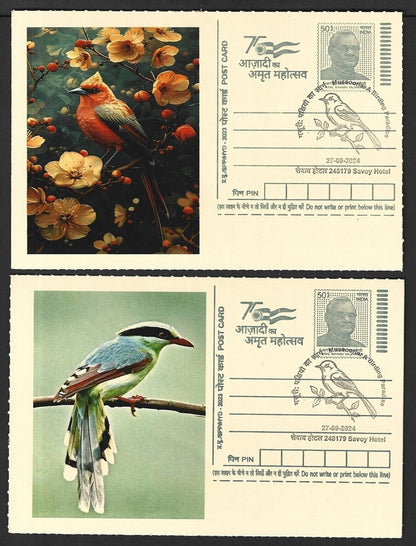 India 2024 Birding Paradise Savoy Hotel postmark cards MULTICOLORED BIRDS (6)