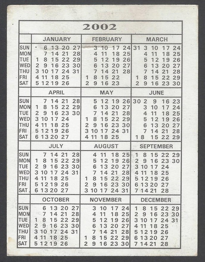 AOP2 India Bollywood 2002 pocket calendar DIA MIRZA