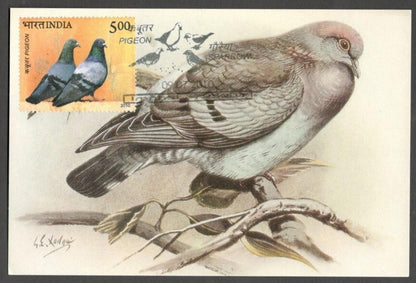 AOP India 2010 Pigeon maxi card