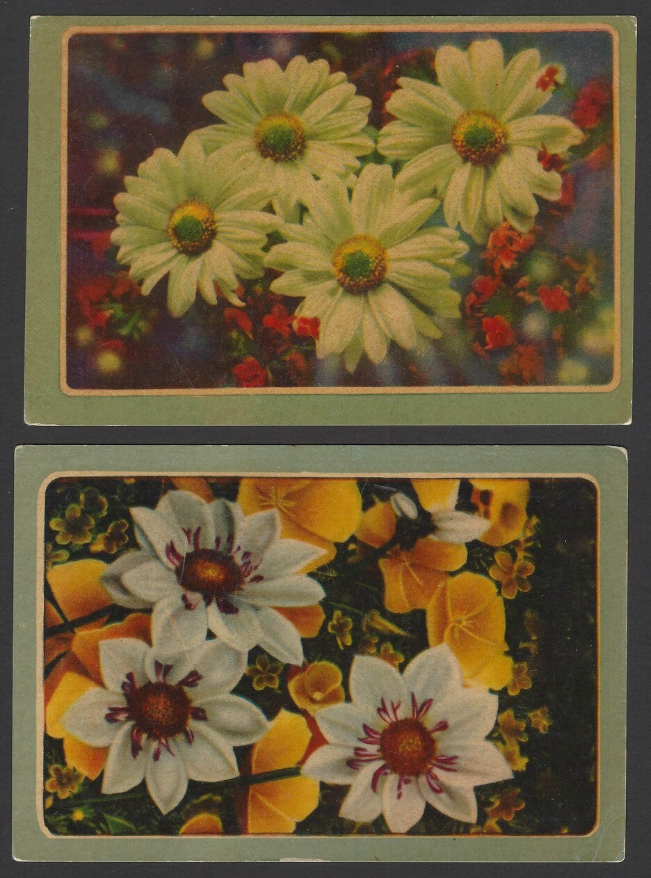India Flowers vintage postcards (9)