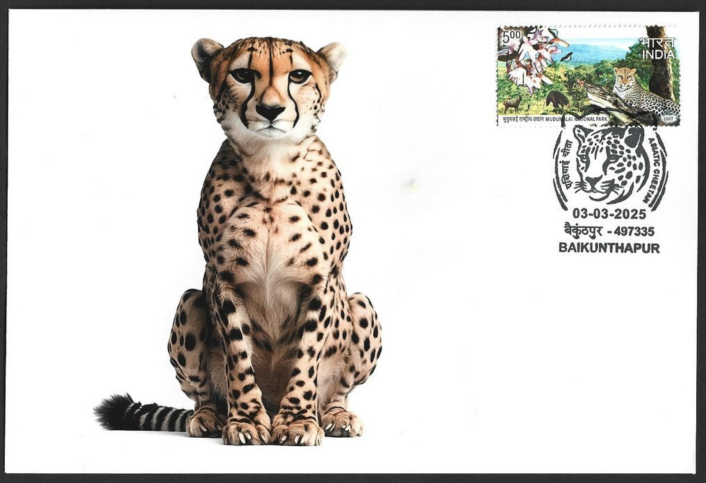 India ASIATIC CHEETAH, Baikunhapur postmark on special cover